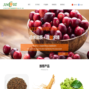 大连安科优益科技有限公司-Home