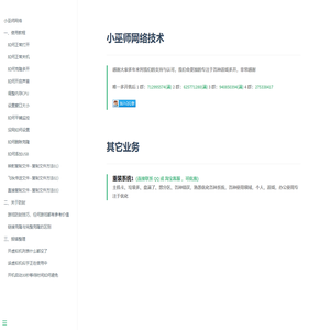 小巫师网络