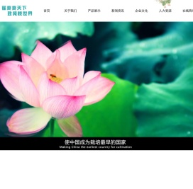 致纯食品股份有限公司_广昌白莲_通芯白莲_莲子汁品牌_荷叶茶厂家_冻鲜莲厂家