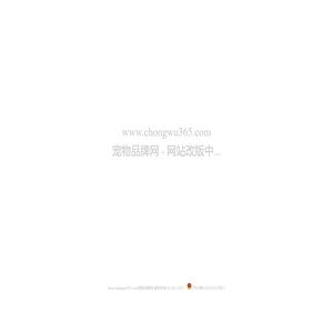 改版中 - 宠物品牌网