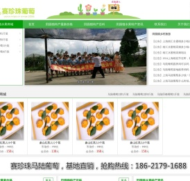 马陆葡萄网-马陆葡萄采摘攻略|新品种|礼盒装|价格多少钱一斤