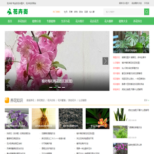 花卉街 - 专业的花卉图片、花卉知识网站