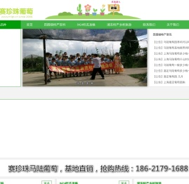 南汇8424西瓜网-南汇8424西瓜网丨南汇8424西瓜采摘价格多少钱一斤丨南汇8424西瓜礼盒