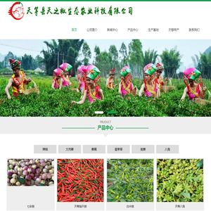 广西小米辣椒|青米椒|七彩椒|肉姜|香茅草|姜黄种植批发销售_天等县天之椒生态农业科技有限公司