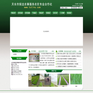 天长水稻-天长秧苗- 天长市铜龙农事服务农民专业合作社
