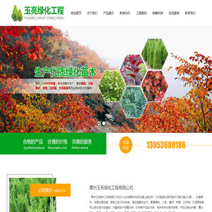 青州玉亮绿化工程有限公司,侧柏苗,黄栌苗,红栌苗,火炬苗,文冠苗种植基地批发