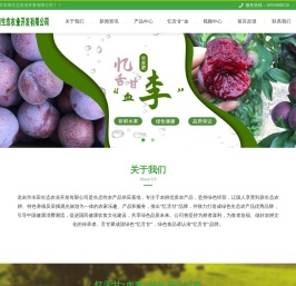 龙岩市丰田生态农业开发有限公司