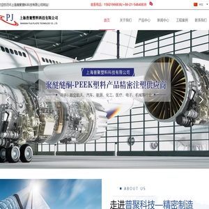 PEEK精密齿轮-PEEK注塑-PEEK精密注塑-PEEK齿轮-上海普聚塑料科技有限公司