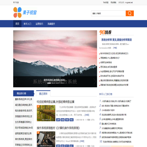 果子视窗 - 助力新电商行业崛起