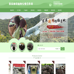 慈溪迪锋杨梅专业合作社