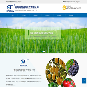 青岛海西格玛化工有限公司