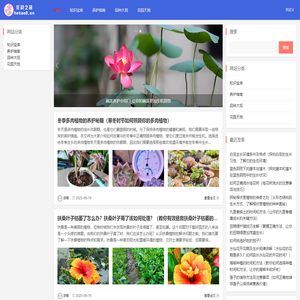 花韵之窗-花卉养护的奇妙之窗