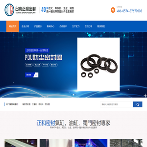 PDU防尘密封圈_橡胶活塞孔用密封圈_APA气动密封圈-宁波正和密封科技有限公司