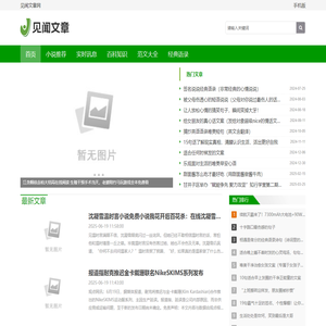 见闻文章网