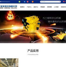 浙江新柴股份有限公司