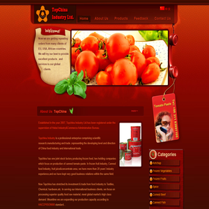 Topchina Industry Ltd.