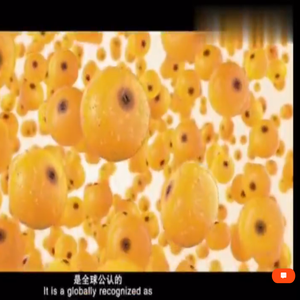 焦作市森宝生物科技有限公司