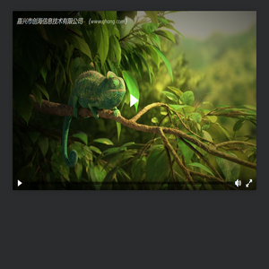 嘉兴市创海信息技术有限公司