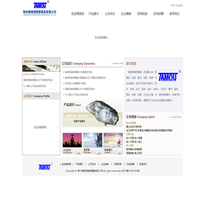 常州堤维西精密模具有限公司