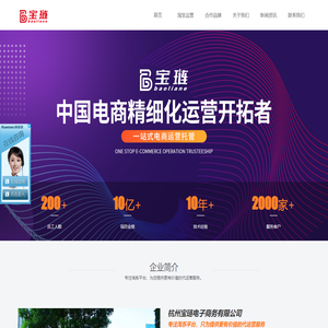 淘宝代运营公司-天猫网店托管-电商代运营「宝琏电商」
