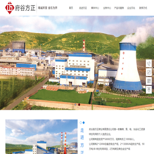 府谷县方正镁业有限责任公司