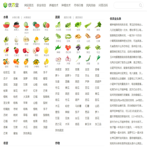 优农业 - 为乡村振兴提供智慧和力量