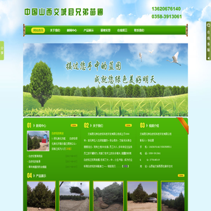 山西交城白皮松 - 交城县兄弟白皮松科技开发有限公司|兄弟苗圃|山西交城县兄弟苗圃|交城白皮松|交城兄弟苗圃|苗圃|绿化|松树|山西交城白皮松