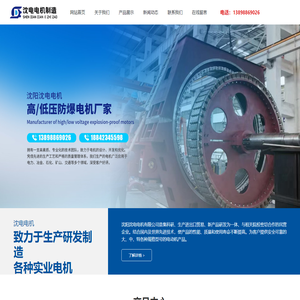 沈阳沈电电机制造有限公司
