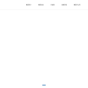 德硅集团股份有限公司