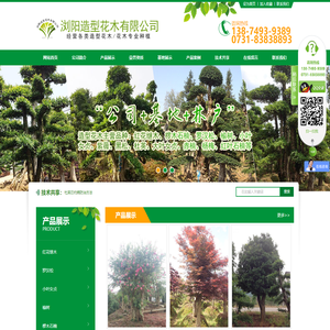 浏阳造型花木有限公司_浏阳红花继木和罗汉松|浏阳小叶女贞和榆树|椤木石楠和桂花哪里的好