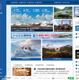 西藏那曲虫草网-那曲冬虫夏草行业网站