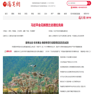阳光网 — 阳光报社官方网站