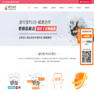 金付宝 PLUS 官网