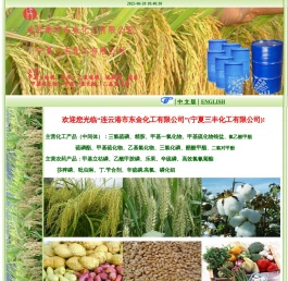 连云港市东金化工有限公司