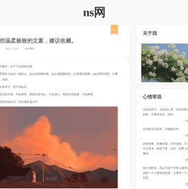 app下载站--NSapp下载站