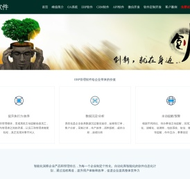 峰值软件，20年创新型ERP管理软件系统