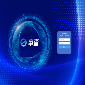 公平竞争e审查