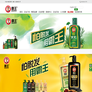 霸王国际(集团)控股有限公司官方网站