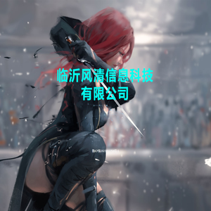临沂风清信息科技有限公司