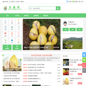 蜜柚,柚子,蜜柚知识,平和蜜柚,红肉蜜柚,三红蜜柚,黄肉蜜柚-众菓蜜幼