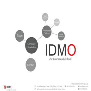 IDEAL MODEL