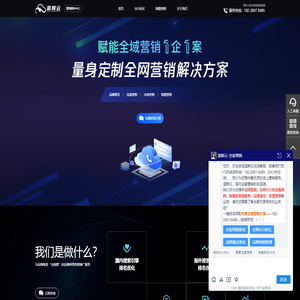 蓝鲸云-全案营销 品牌建设 流量营销 内容营销——全阶段解决方案