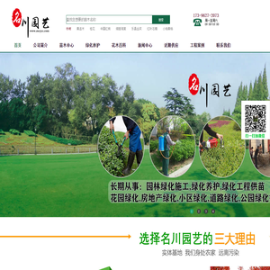 成都苗木批发_绿化苗木价格_苗木网_郫县基地供应_名川园艺公司