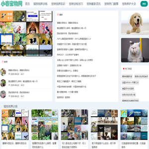 分享宠物小狗,猫咪,爬虫,宠物鱼饲养训练知识|小春宠物网