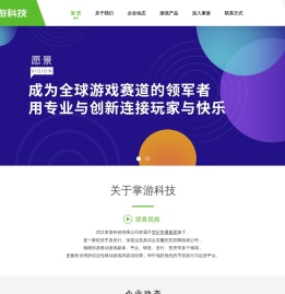 掌游科技 - 武汉掌游科技有限公司