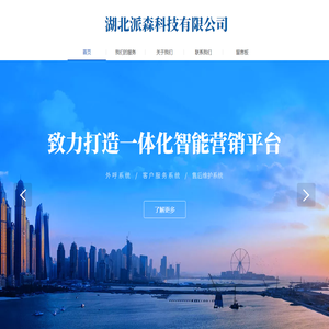 湖北派森科技有限公司
