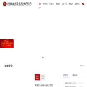 安徽省安振小额贷款有限公司