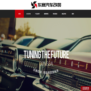 广州东赛汽车用品有限公司