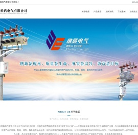 泉州维盾电气有限公司