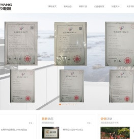 嵊州市厨阳电器科技有限公司-嵊州市厨阳电器科技有限公司